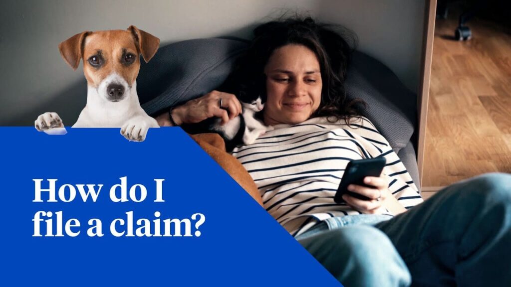 How do reimbursements work with pet insurance claims?